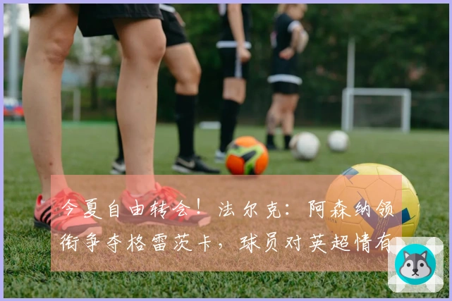 今夏自由转会！法尔克：阿森纳领衔争夺格雷茨卡，球员对英超情有独钟
